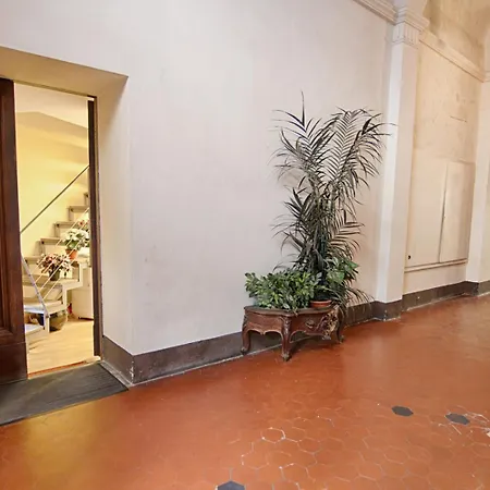 Rinidia Centro Apartmán