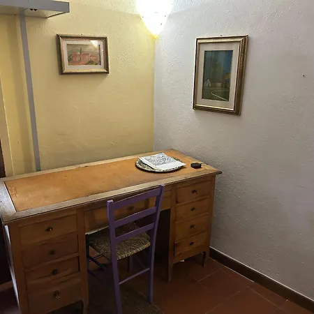 Rinidia Centro