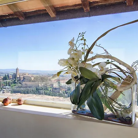 Rinidia Centro Apartman Siena